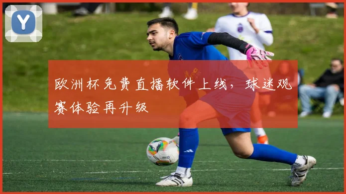欧洲杯免费直播软件上线，球迷观赛体验再升级