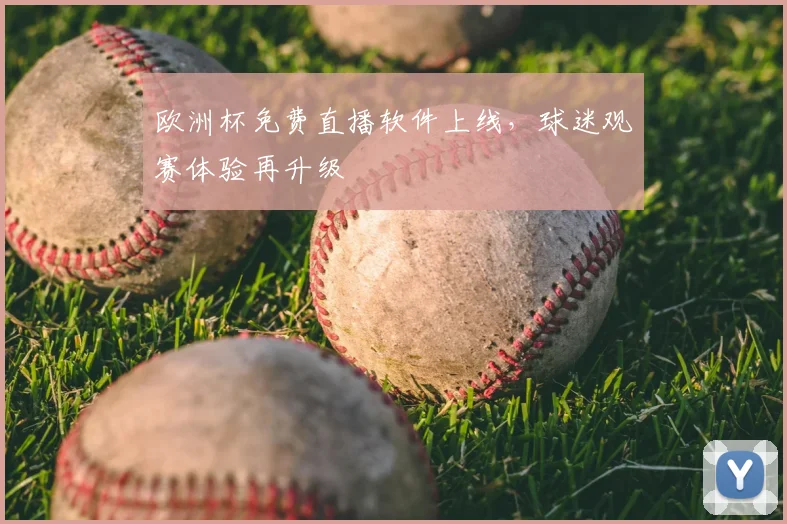 欧洲杯免费直播软件上线，球迷观赛体验再升级