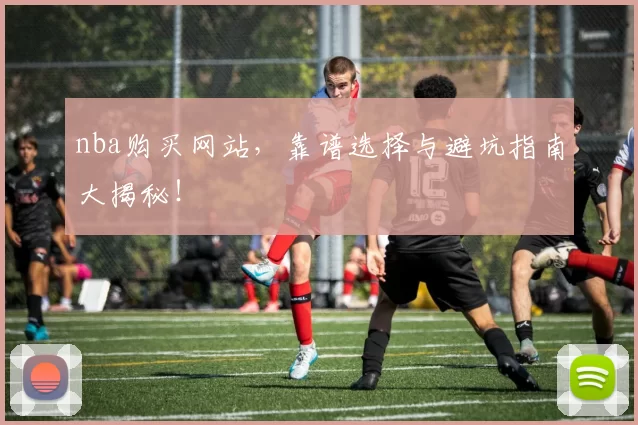 nba购买网站，靠谱选择与避坑指南大揭秘！